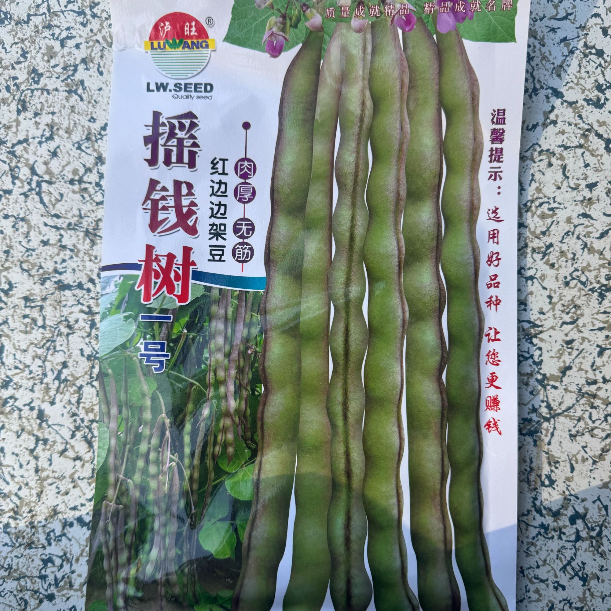 摇钱树1号红边边架豆四季豆