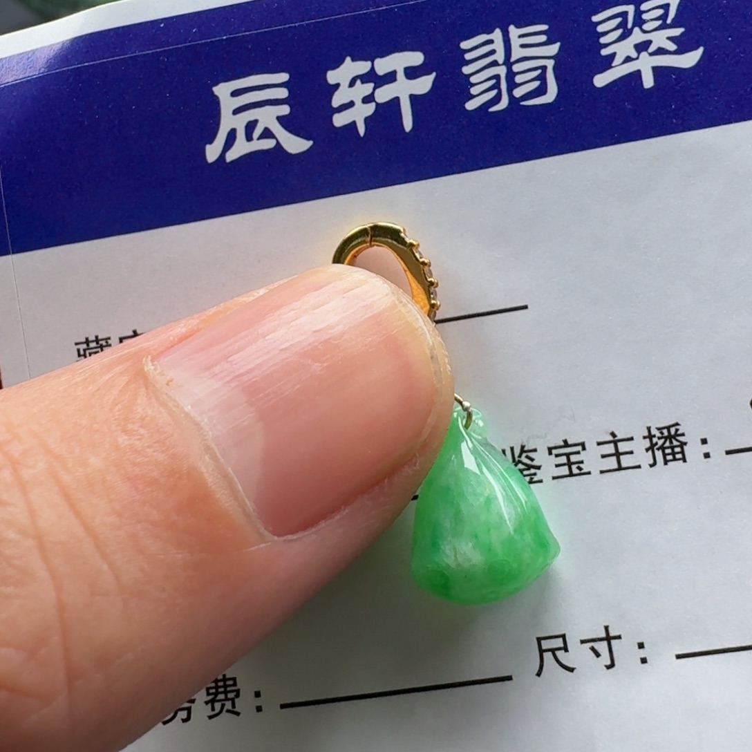 翡翠未镶嵌颈饰    18