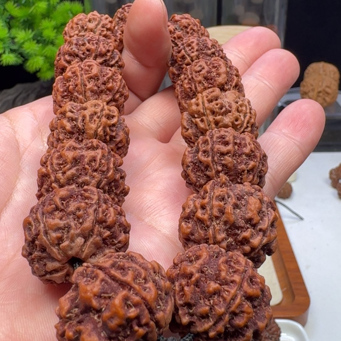 手串金刚菩提梅花姜黄皮