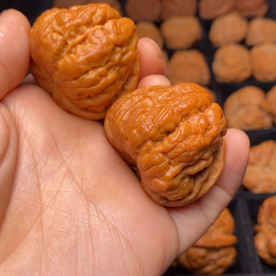 文玩核桃把件秦岭野生核桃