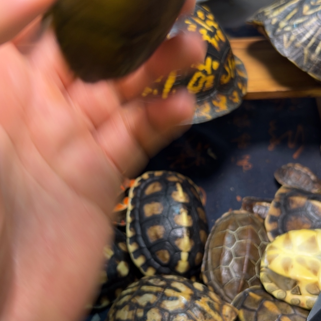 手***云呀呀呀呀呀呀呀呀呀呀呀