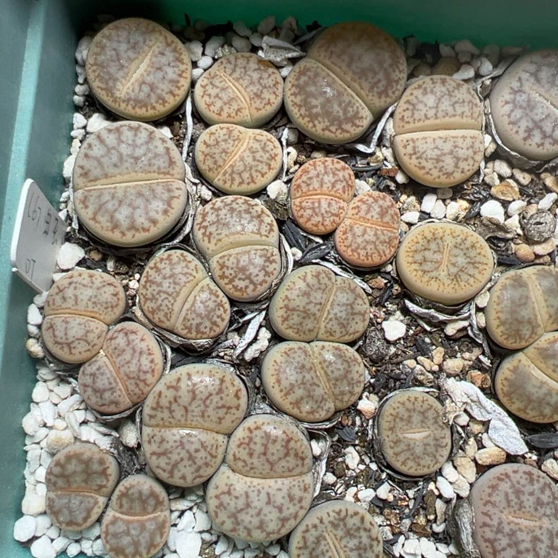 【闪购商品】022……