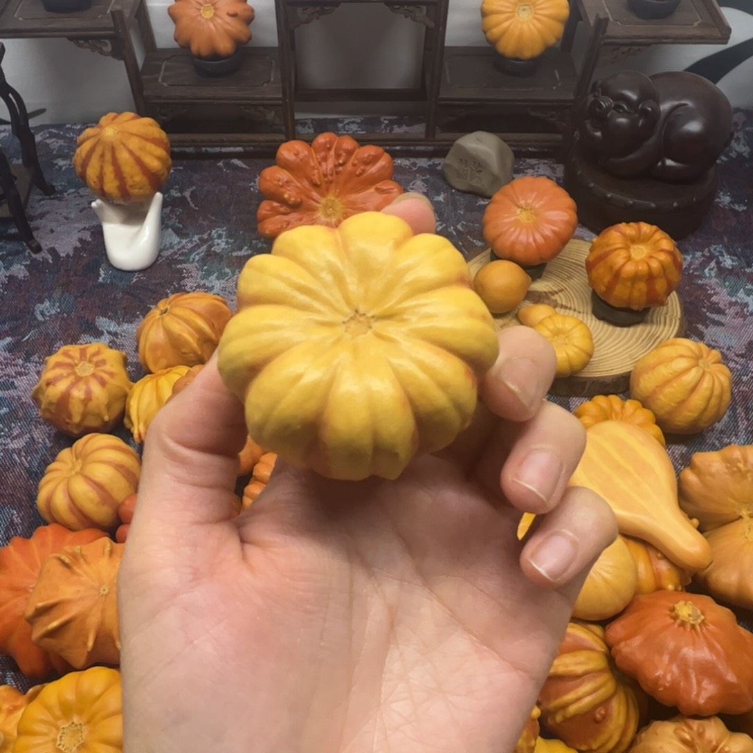 墨西哥葫芦小花花