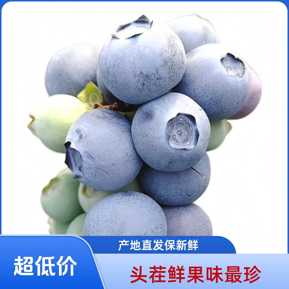 蓝莓鲜果大果巨无霸新鲜特大蓝莓鲜果水果L25新鲜蓝莓花香蓝莓