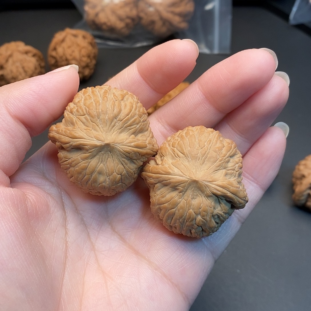 把件桃核泥鳅背核桃一对