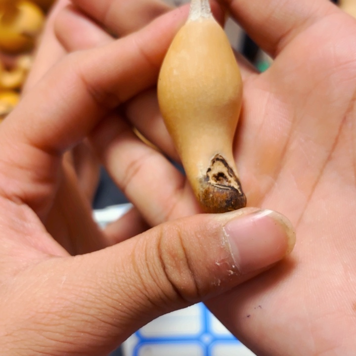 好***?88888888999988888888