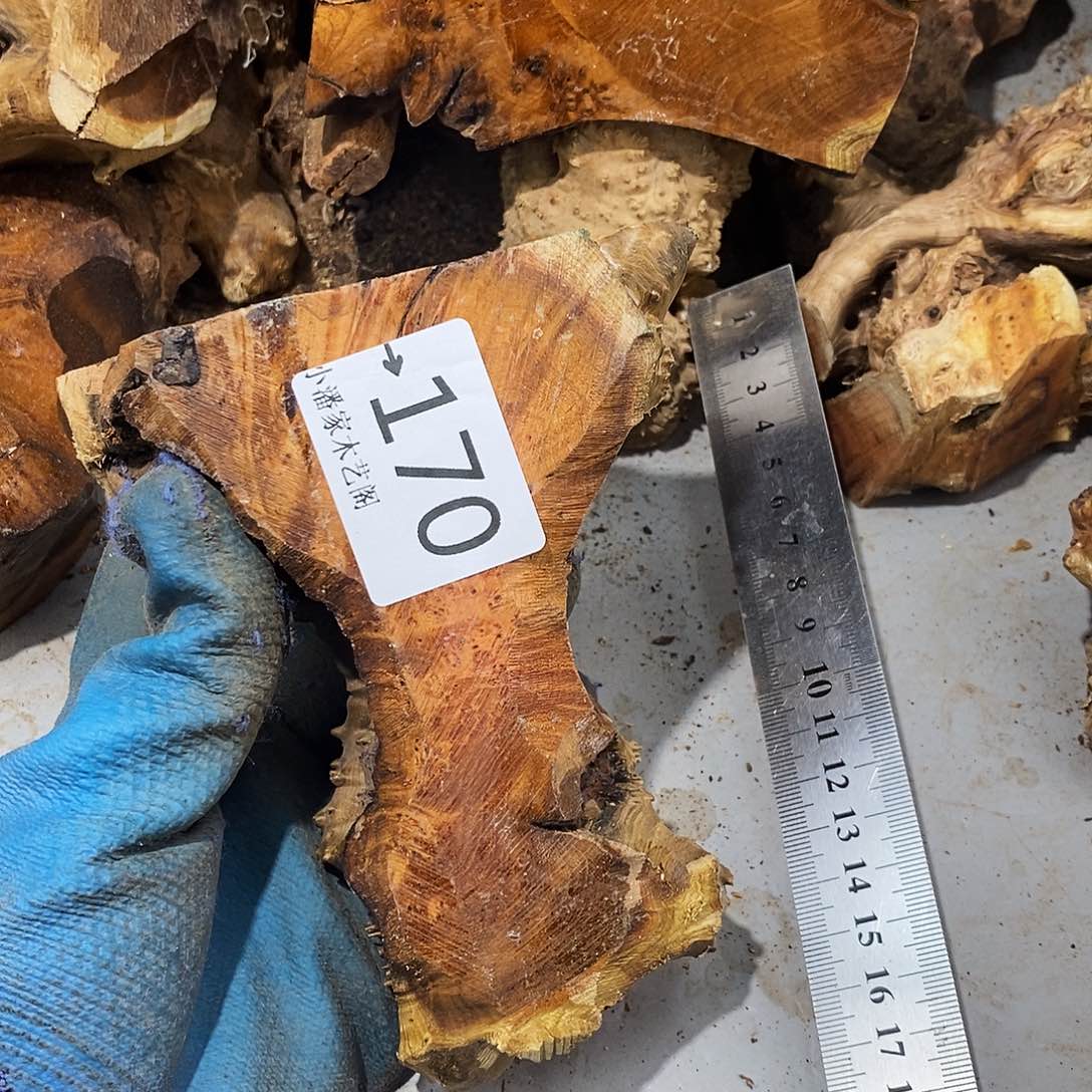 香榧木郭麻梨疙瘩……