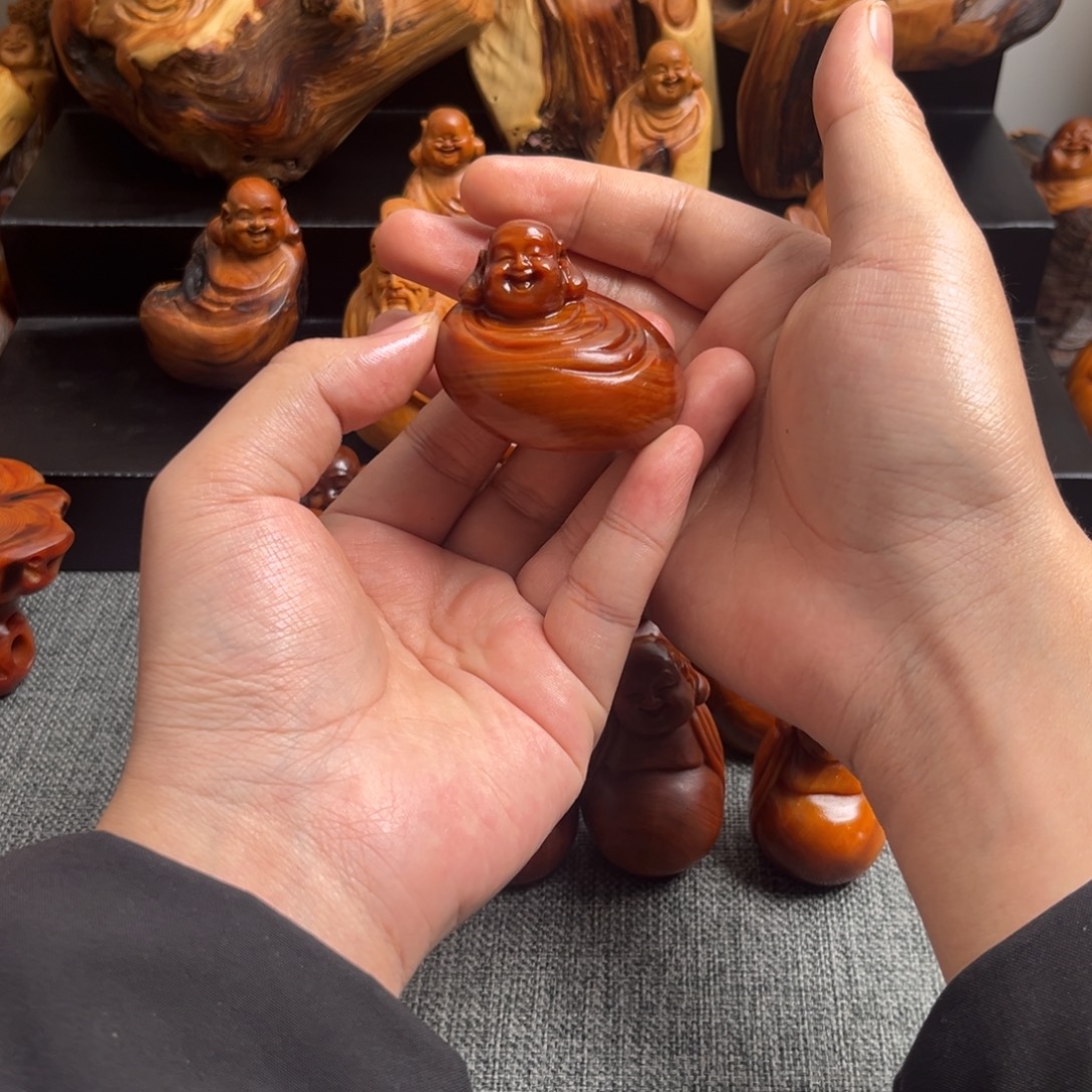 用***5柏木（崖柏）太行崖柏