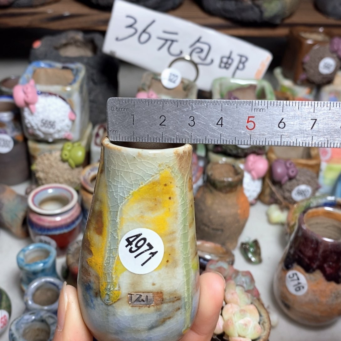 拍5送一个小礼物