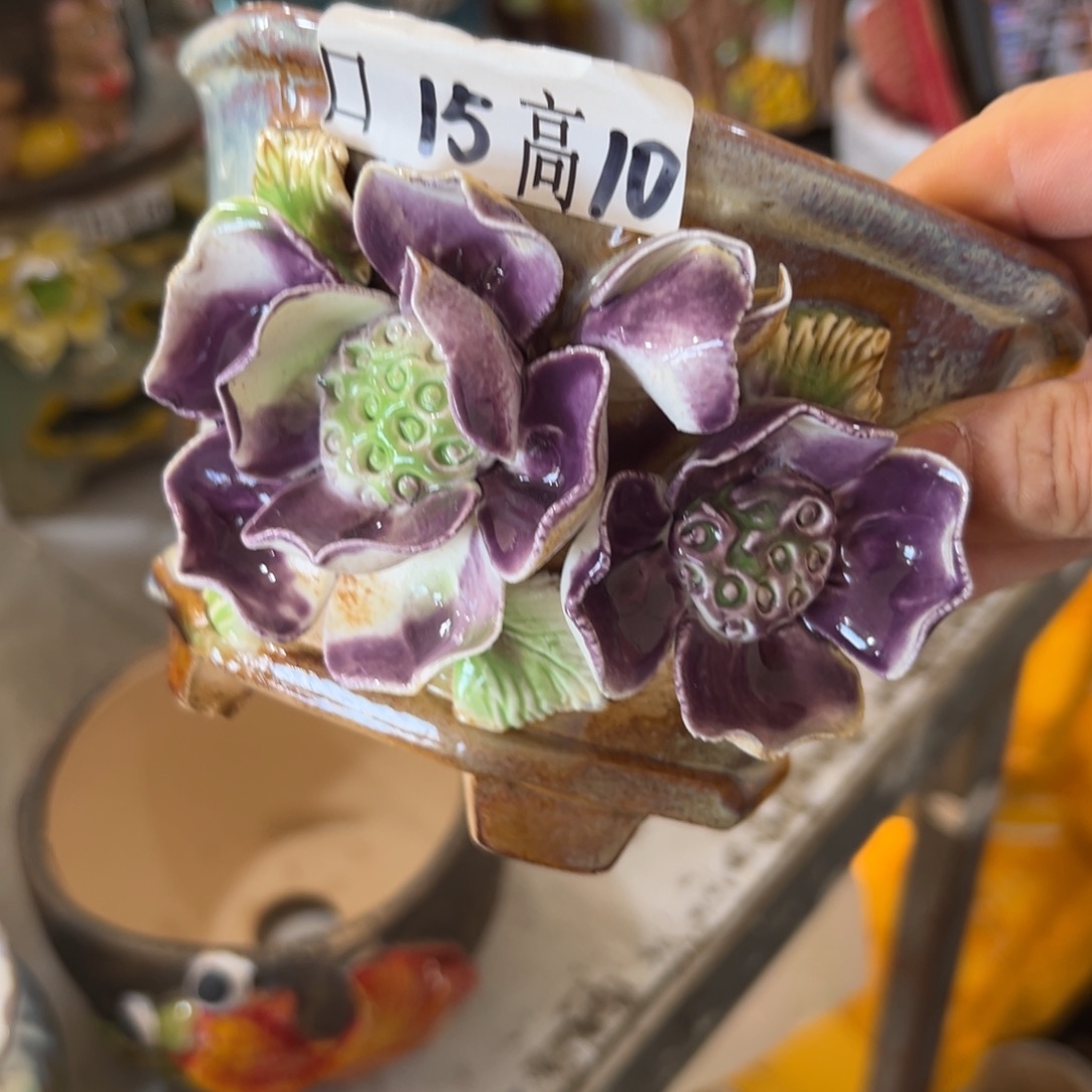 花盆，拍满20发货，退款拉黑