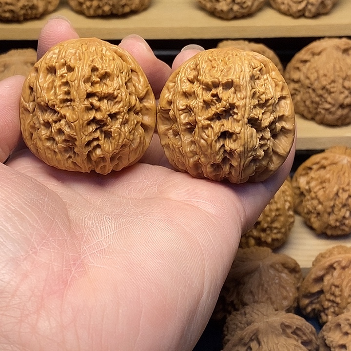 核桃44将军福利核桃