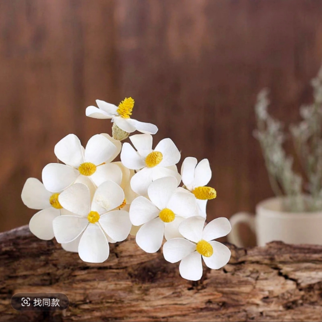 【1帮1】干花紫罗兰文心兰千日红手工永生花鲜花网红家居花束diy