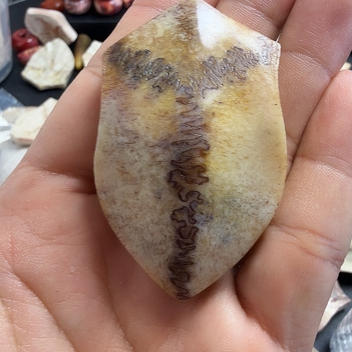 花岗石纯铜锡合金纯铜养殖鹿头骨制作三界牌