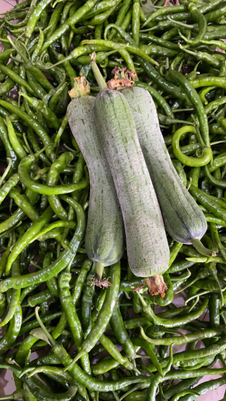 老品种土辣椒加本地丝瓜合计4斤装