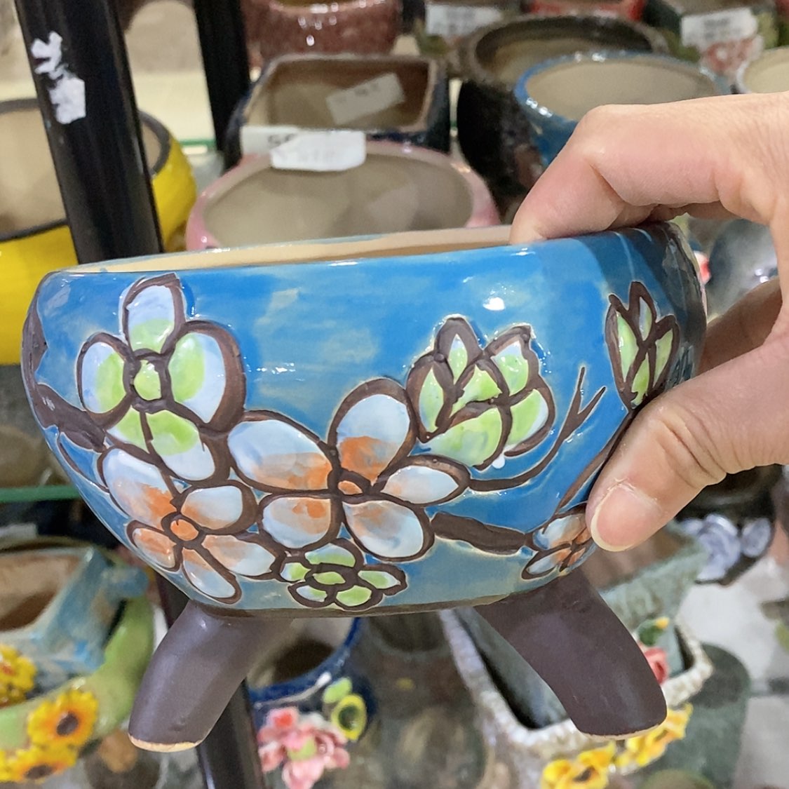 【闪购商品】红陶福利