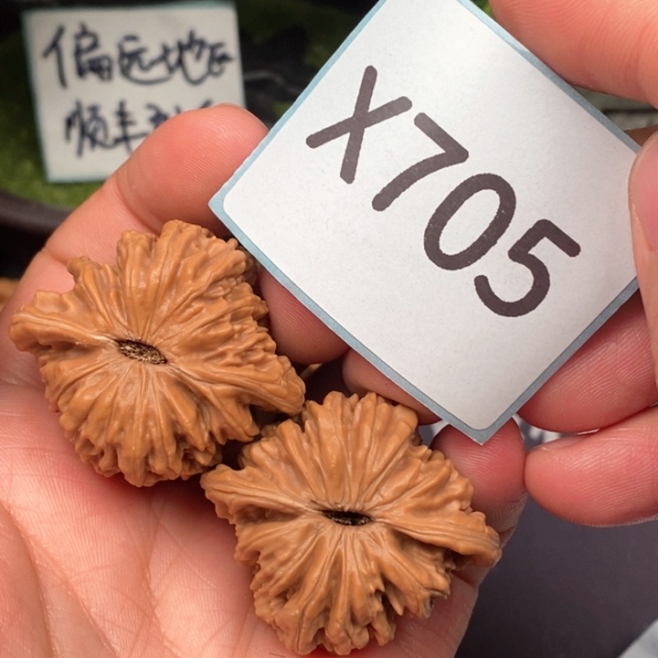 文玩核桃把件楼子4019705