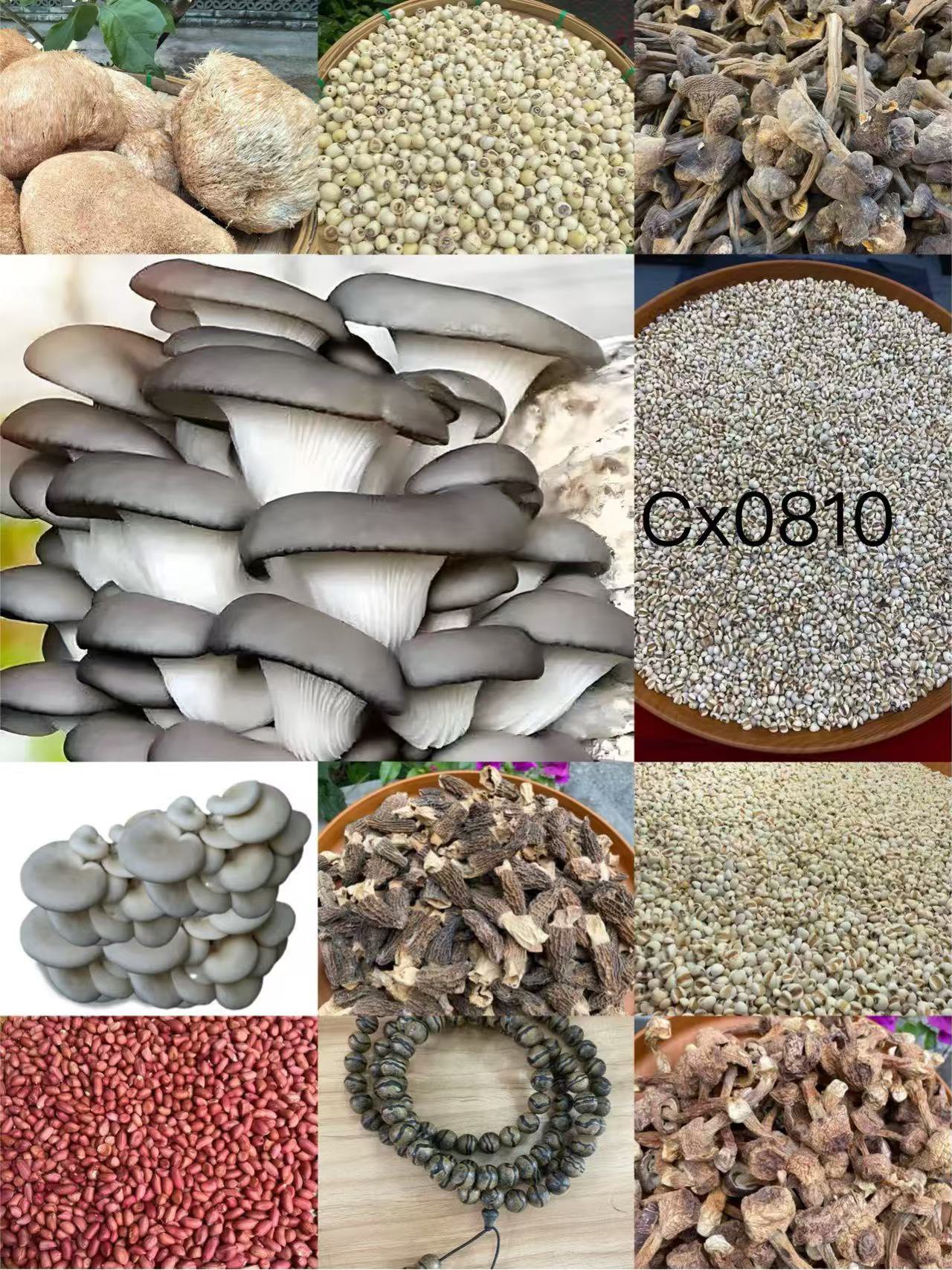 《阿浩专用土特产CX0810》多样性发货 重量76克左右