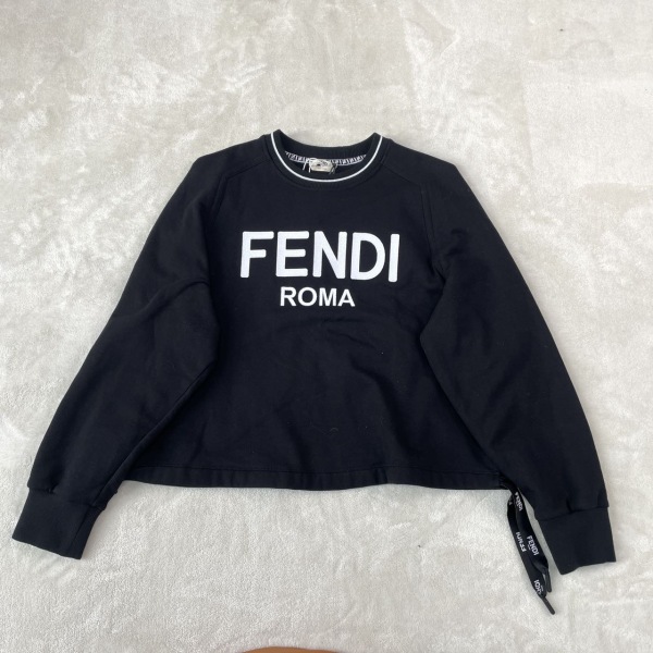 妃鱼/芬迪/棉/卫衣/95新/z零一二六