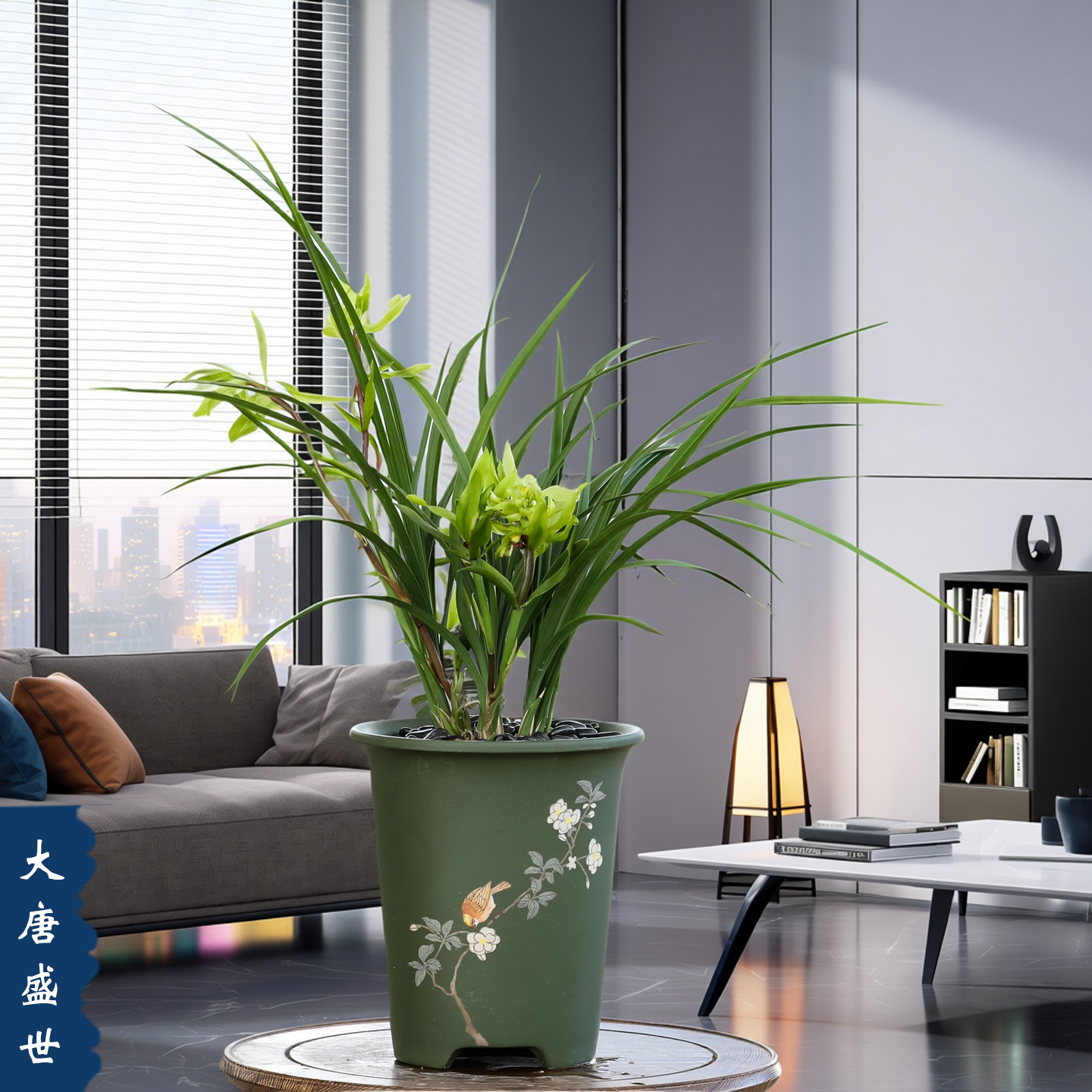 兰花苗带花苞春兰大唐盛世带盆种好室内兰草花卉植物盆栽好养浓香