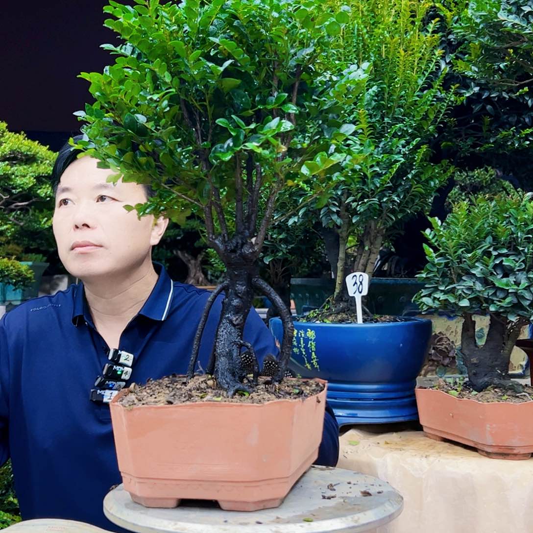 以实际为准用****912345678