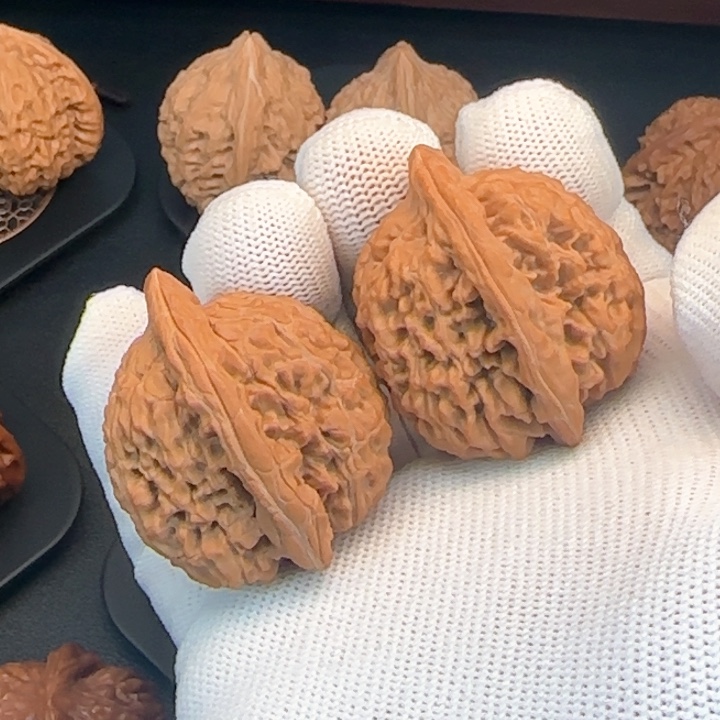 文玩核桃吊坠粗筋蚂蚁王