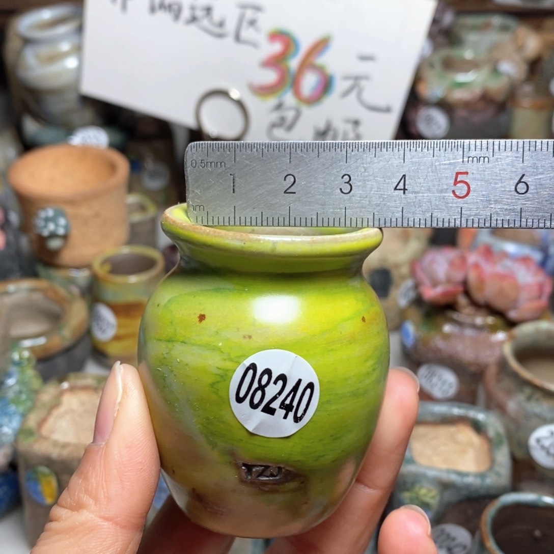 花盆拍5送一个小礼物