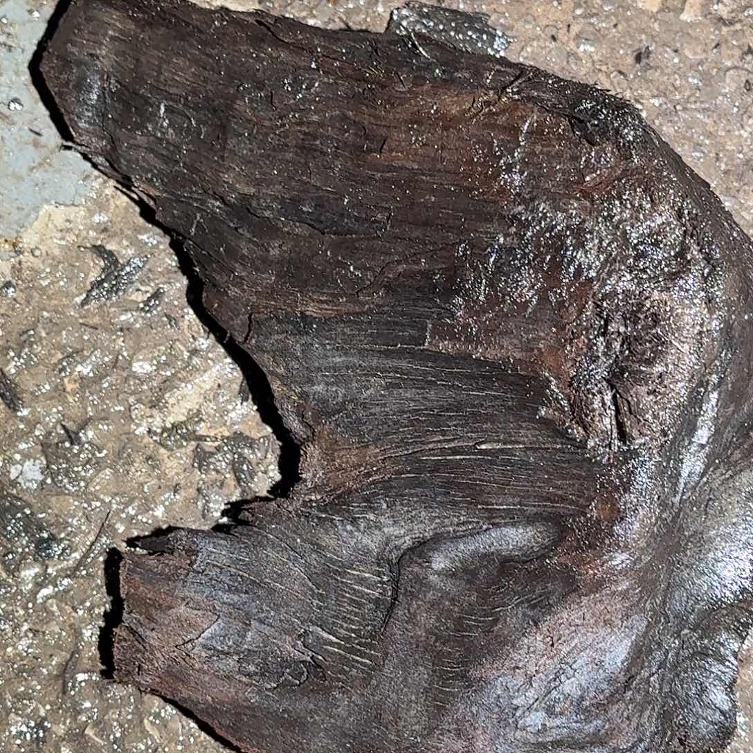 乌木金丝楠木竹木去