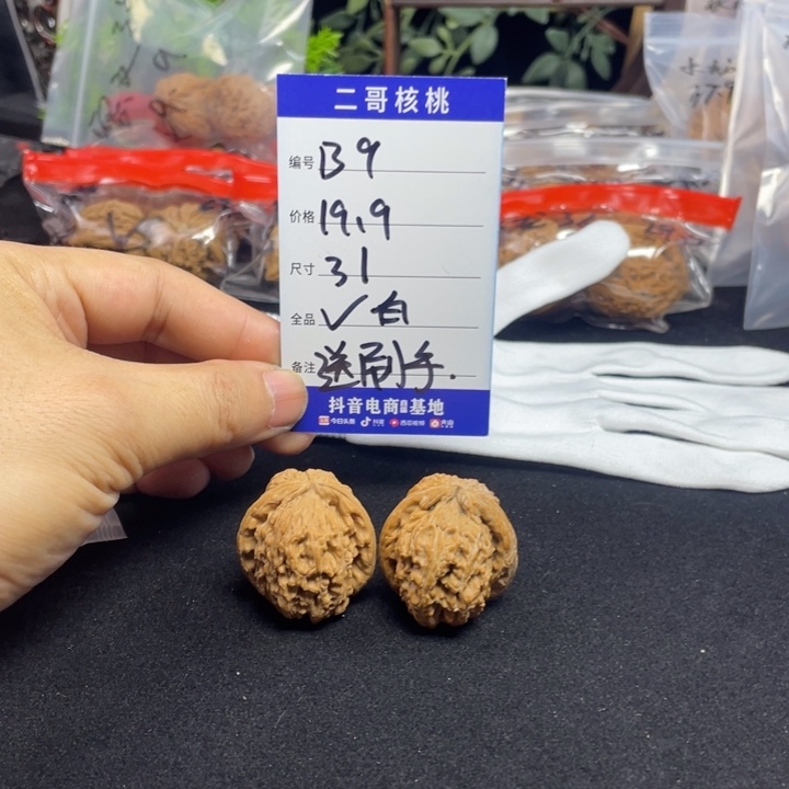 文玩核桃把件白狮子