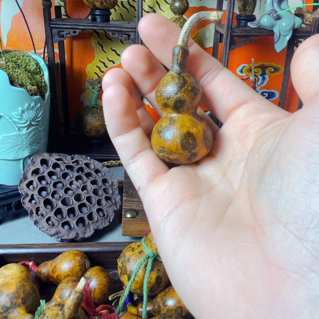 仓喜葫芦专拍链接