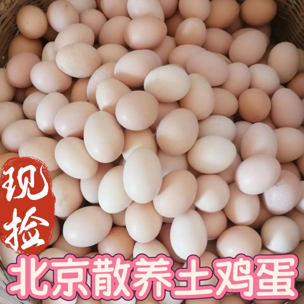 北京通州散养土鸡蛋树林蛋现捡现发