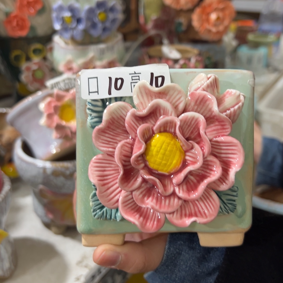 满20米秒退拉黑花盆