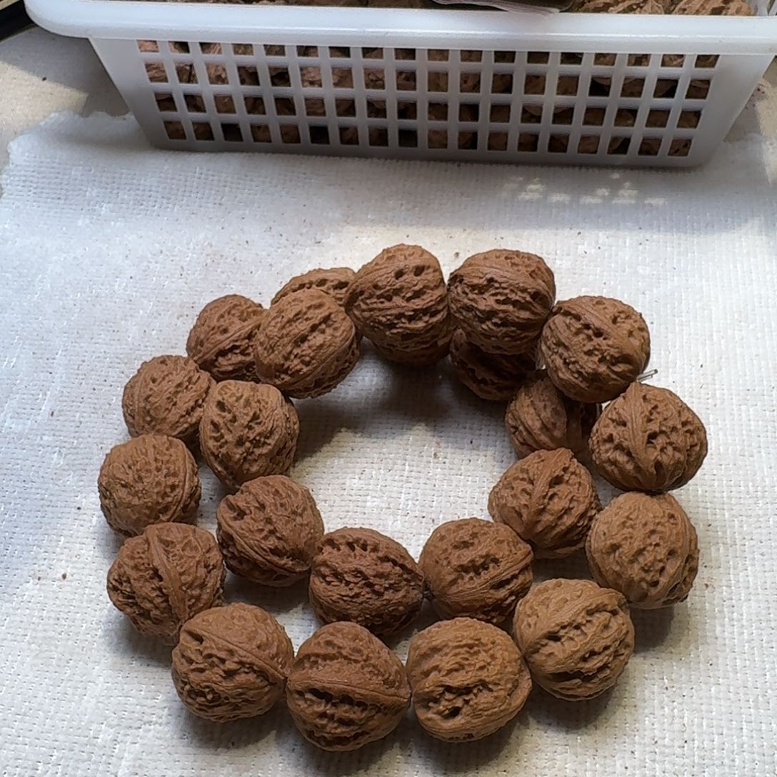 核桃手串/手链25号边24手持