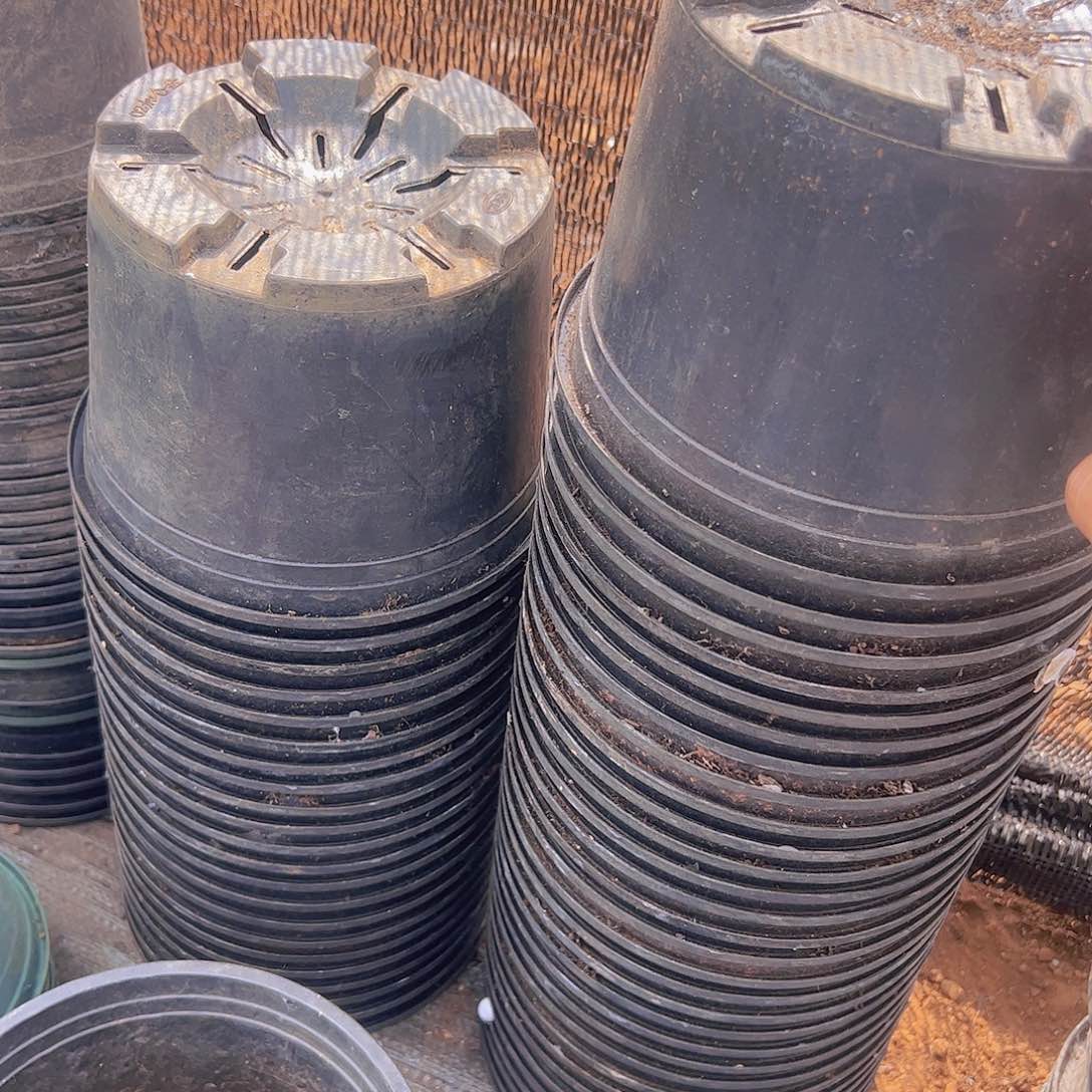 塑料黑色加仑盆口径19发10个。