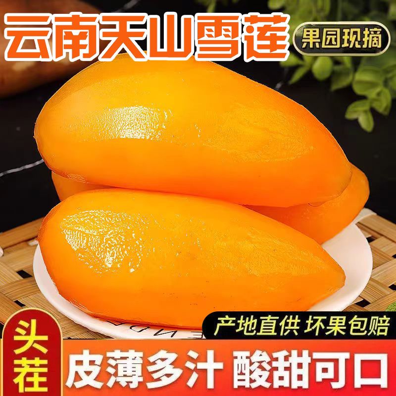 正宗云南高山雪莲果黄心新鲜应当季现挖品质孕妇水果整箱大果清甜