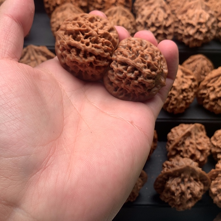 其他核桃观*海秦岭秦闷