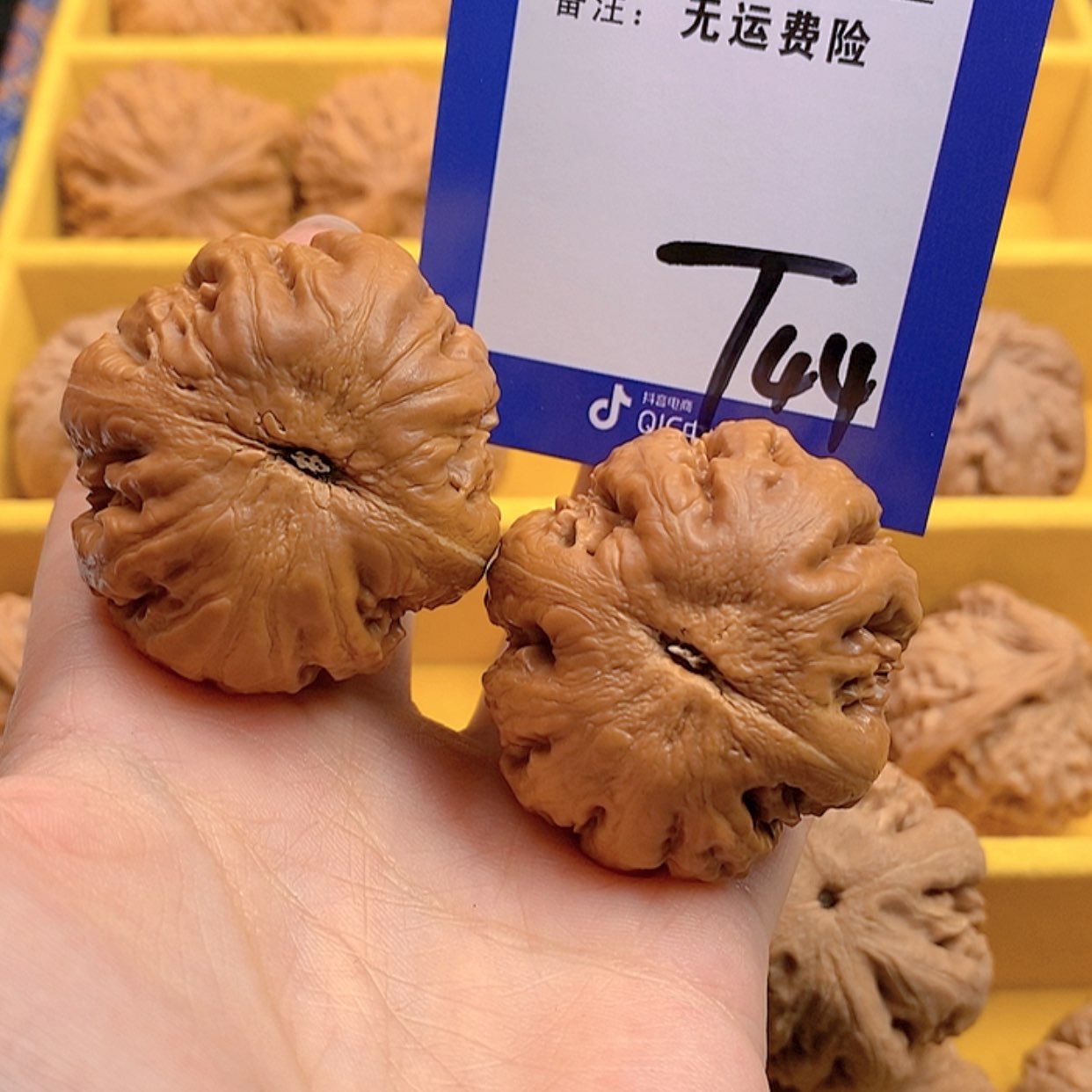 【闪购商品】文玩核桃把件羊**扬文玩核桃霸王龙44