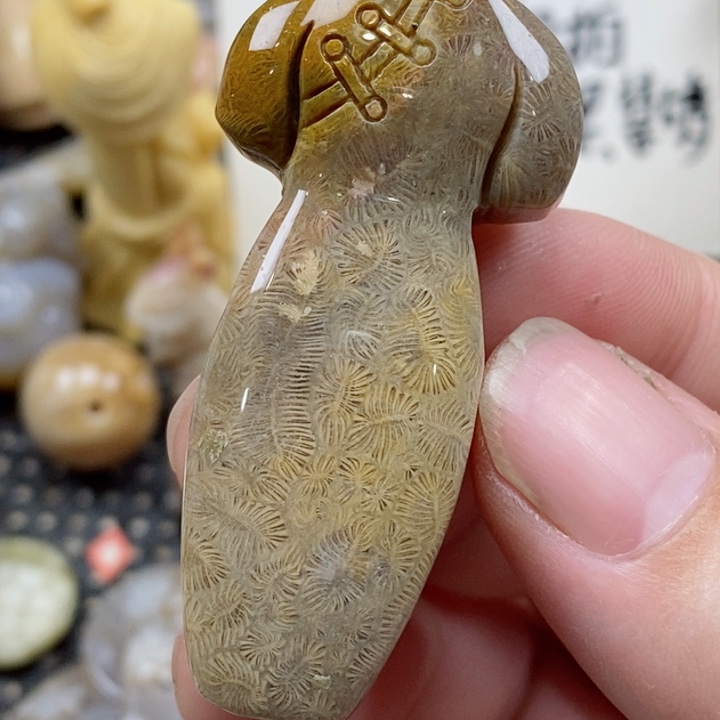 颈饰未镶嵌硅化珊瑚（珊瑚玉）