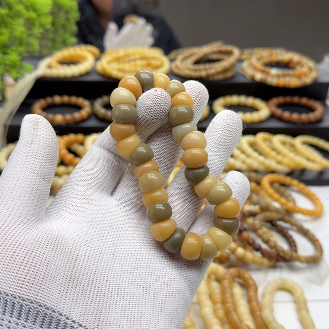 【闪购商品】菩提根/象牙果吊坠卡13蒜瓣 精工 5年