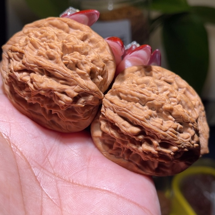 桃核把件              41