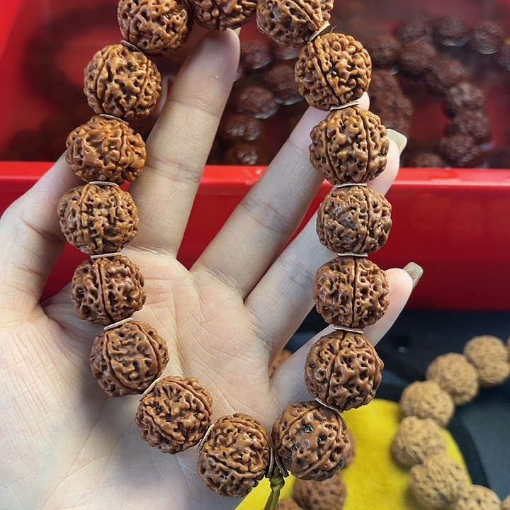 手串金刚菩提000557