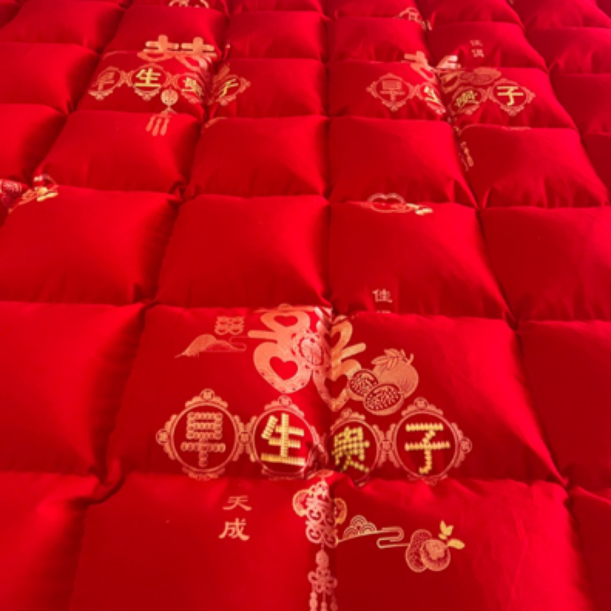 81%(含)-95%(含)50%1g被被芯棉被喜庆冬被婚庆枕芯酒店大红色