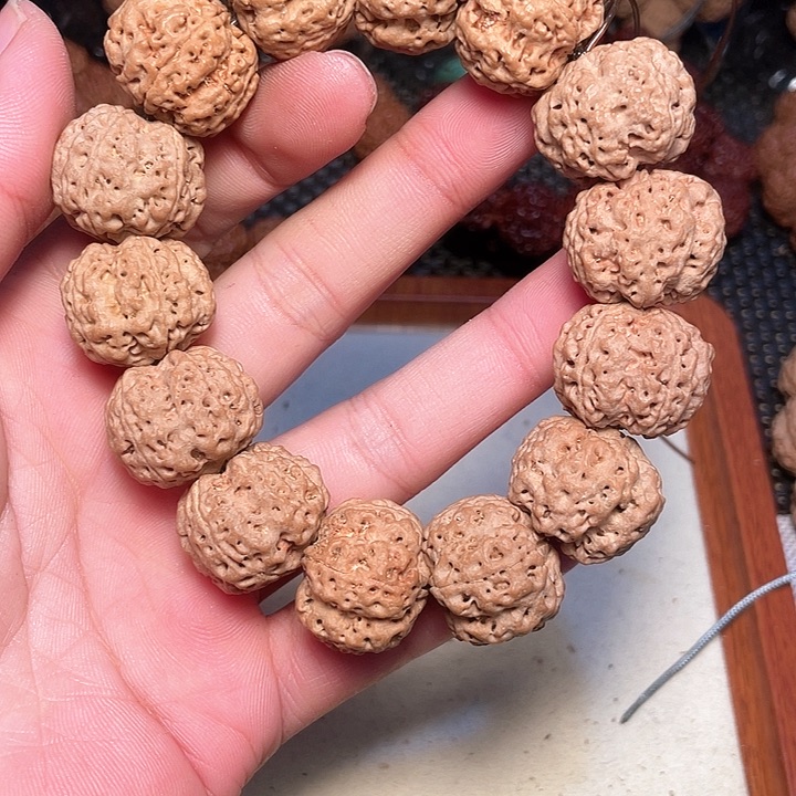 金刚菩提吊坠尼泊尔大金刚菩提