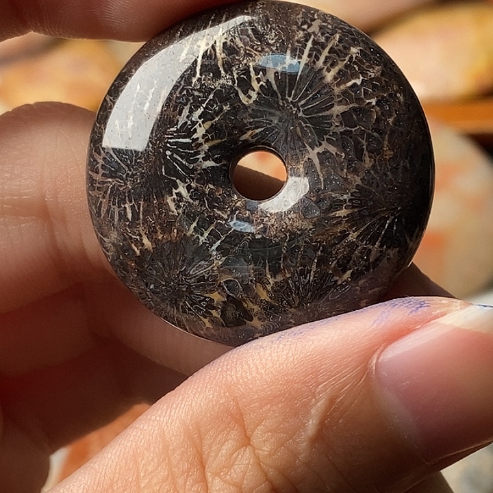 漂***硅化珊瑚未镶嵌颈饰