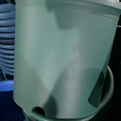 树脂微瑕6#无托祖母绿7个