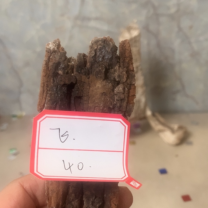 飞***龙大叶紫檀（黑酸枝木类）