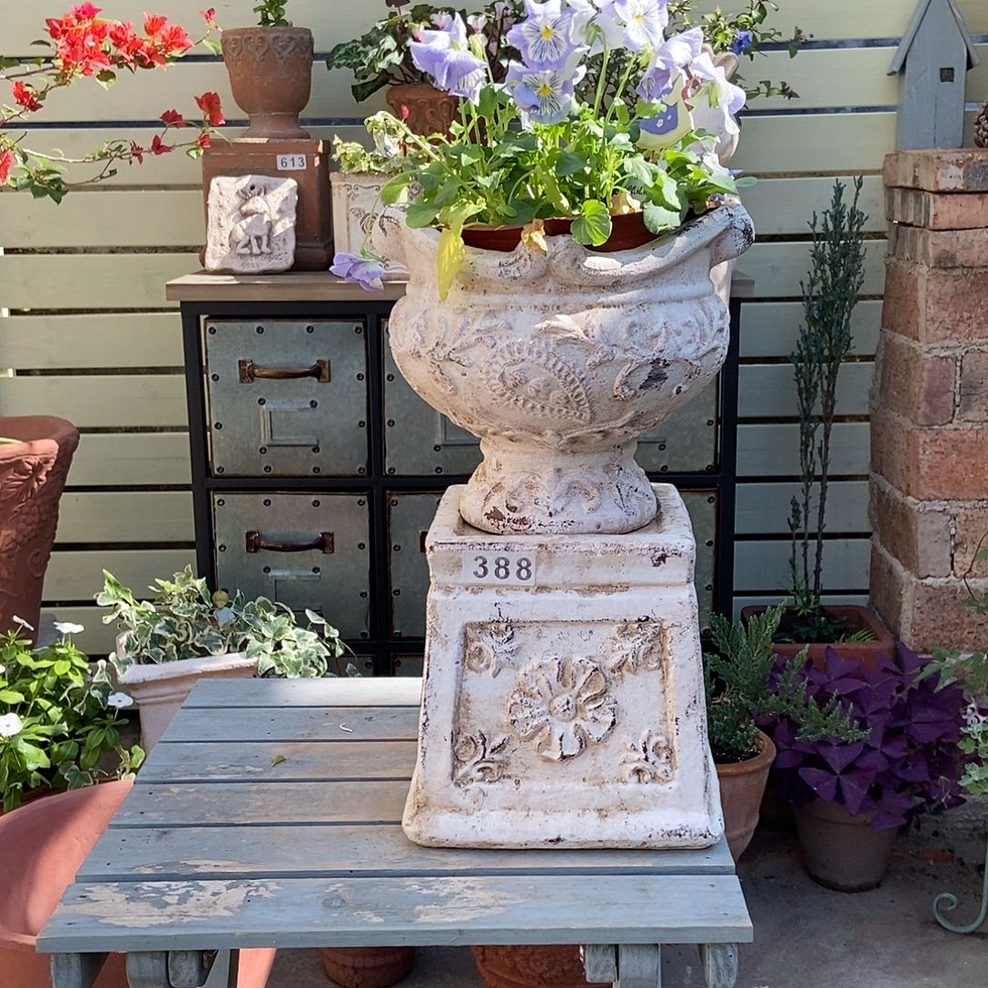 416加387一套送蕾丝