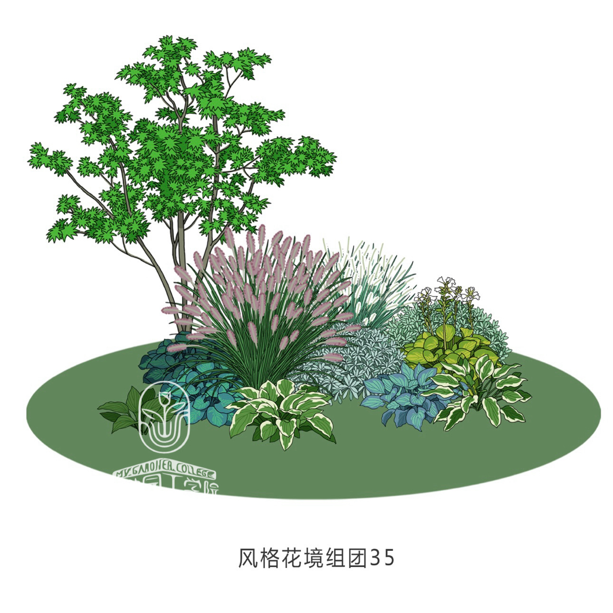 现代风格花境植物组合搭配适用于庭院阳台花园