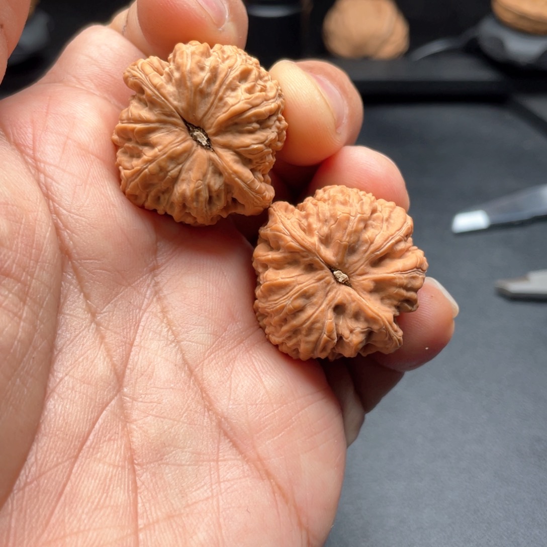 文玩核桃把件红宝石