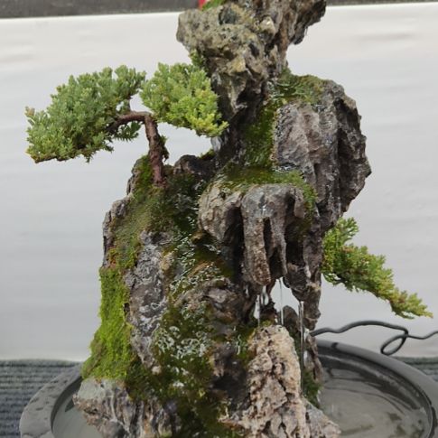 无花朵青龙石假山盆景