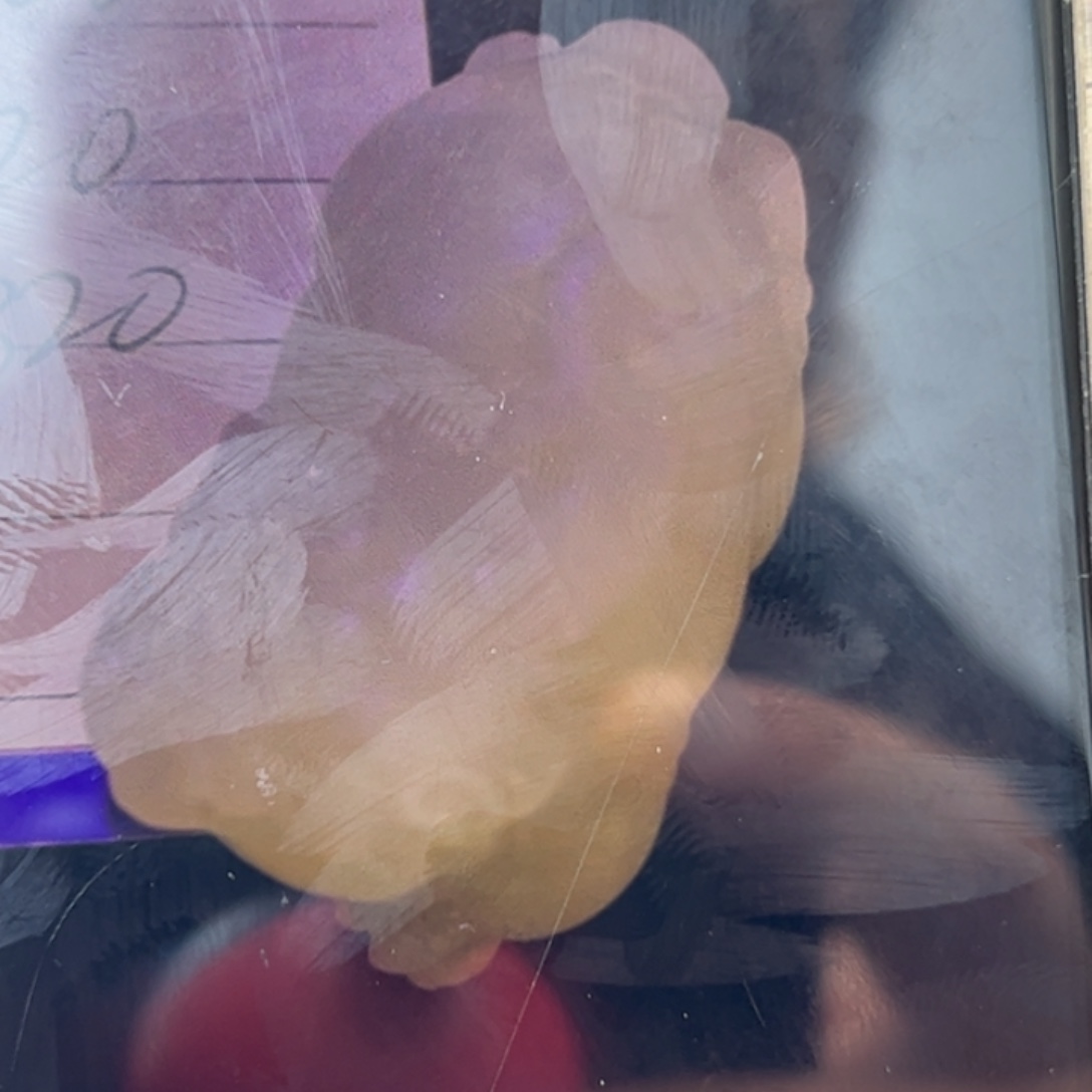 辛***巴和田玉未镶嵌颈饰